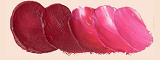 http://www.holbein-works.co.jp/static/chart_oil/images/oil_h020.jpg