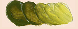 http://www.holbein-works.co.jp/static/chart_oil/images/oil_h047.jpg
