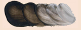 http://www.holbein-works.co.jp/static/chart_oil/images/oil_h825.jpg