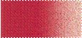 504.jpg